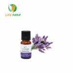 ALMAFLORE Huile Essentielle de Lavande Fine, 10ML